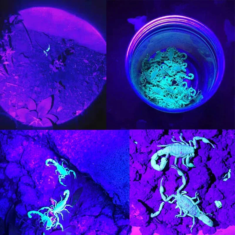 Linterna Tactica Official UV ETPN