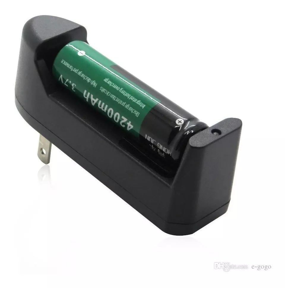Cargador de baterias H2M