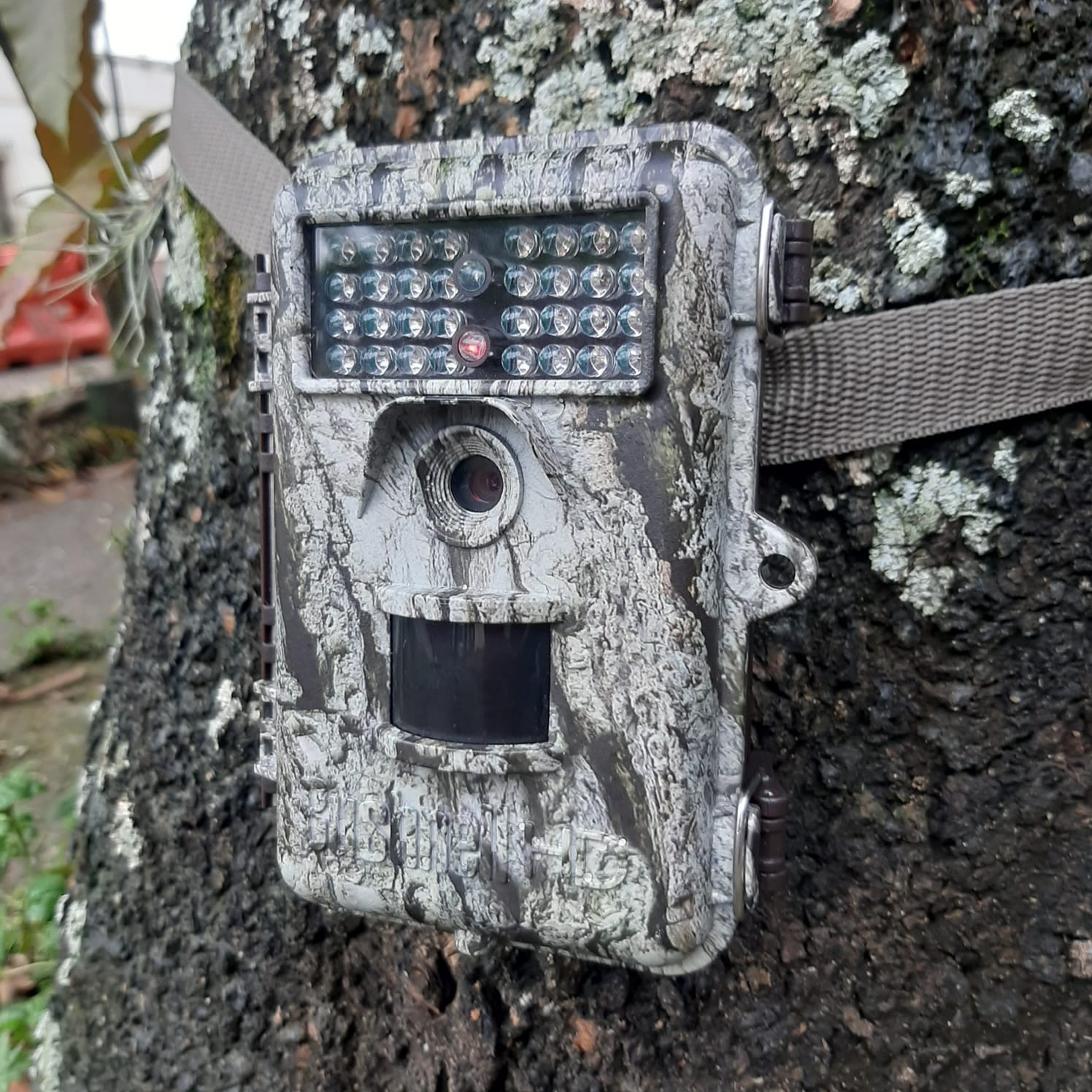 CAMARA DE CAZA BUSHNELL